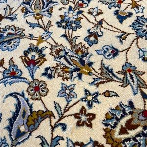 Meet your Posher, Reza